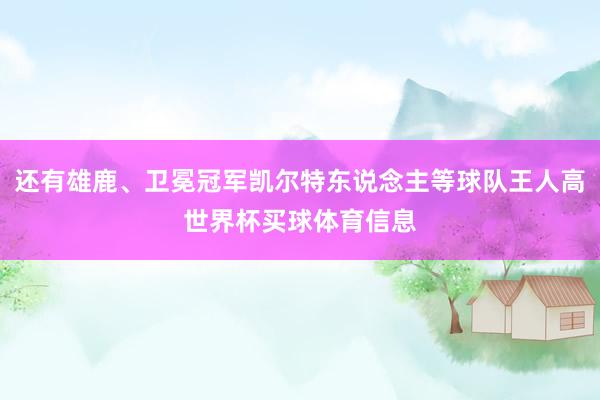 还有雄鹿、卫冕冠军凯尔特东说念主等球队王人高世界杯买球体育信息