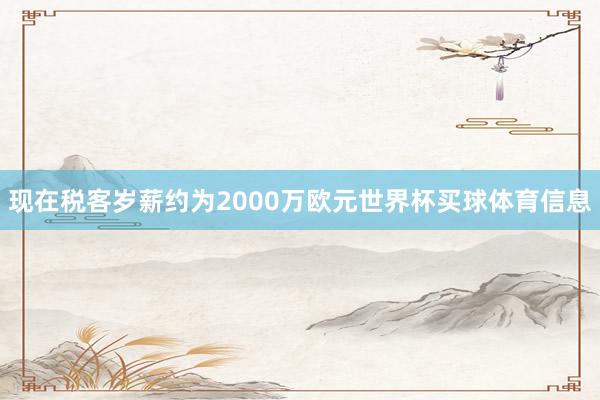 现在税客岁薪约为2000万欧元世界杯买球体育信息