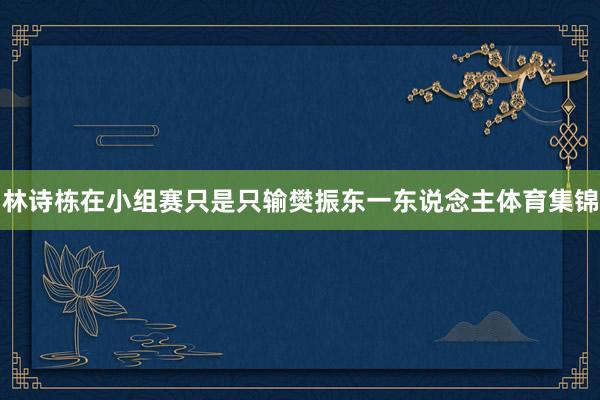 林诗栋在小组赛只是只输樊振东一东说念主体育集锦