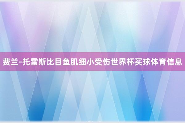 费兰-托雷斯比目鱼肌细小受伤世界杯买球体育信息