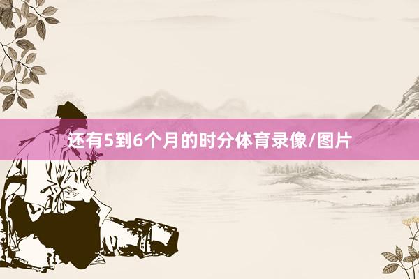 还有5到6个月的时分体育录像/图片