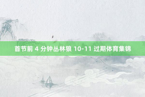 首节前 4 分钟丛林狼 10-11 过期体育集锦