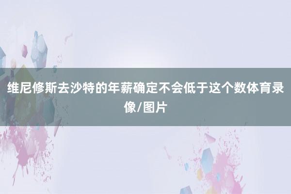 维尼修斯去沙特的年薪确定不会低于这个数体育录像/图片