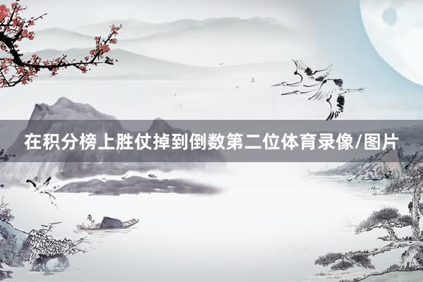 在积分榜上胜仗掉到倒数第二位体育录像/图片