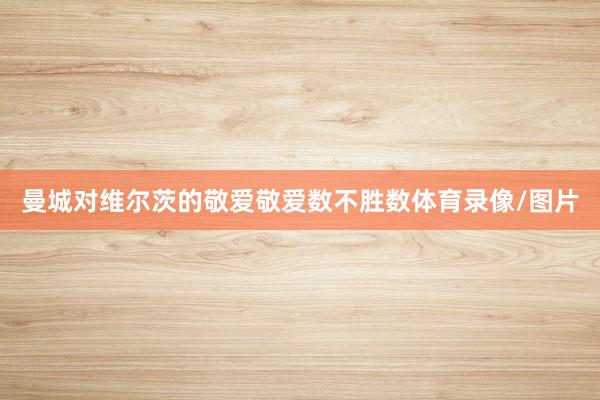 曼城对维尔茨的敬爱敬爱数不胜数体育录像/图片