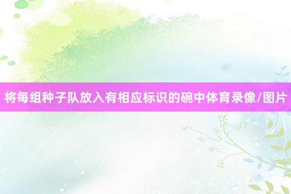 将每组种子队放入有相应标识的碗中体育录像/图片