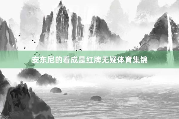 安东尼的看成是红牌无疑体育集锦