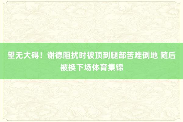 望无大碍！谢德阻扰时被顶到腿部苦难倒地 随后被换下场体育集锦
