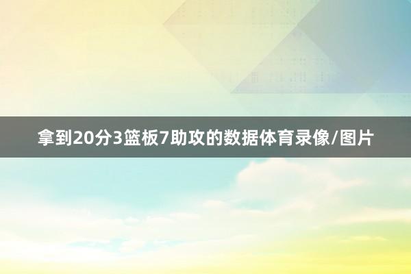拿到20分3篮板7助攻的数据体育录像/图片