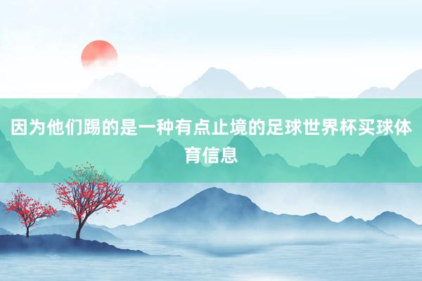因为他们踢的是一种有点止境的足球世界杯买球体育信息