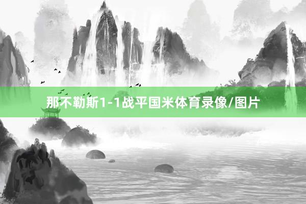 那不勒斯1-1战平国米体育录像/图片