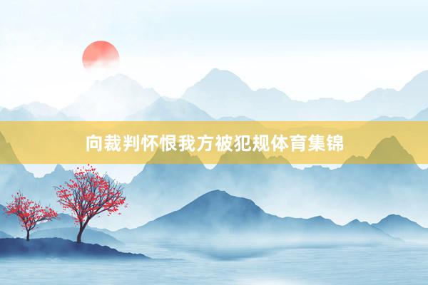 向裁判怀恨我方被犯规体育集锦