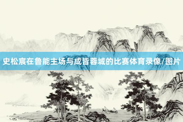 史松宸在鲁能主场与成皆蓉城的比赛体育录像/图片