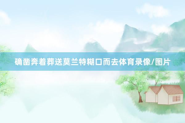 确凿奔着葬送莫兰特糊口而去体育录像/图片