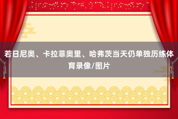 若日尼奥、卡拉菲奥里、哈弗茨当天仍单独历练体育录像/图片