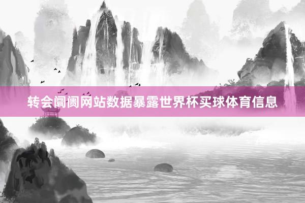 转会阛阓网站数据暴露世界杯买球体育信息