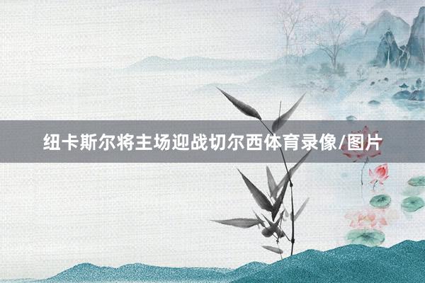 纽卡斯尔将主场迎战切尔西体育录像/图片