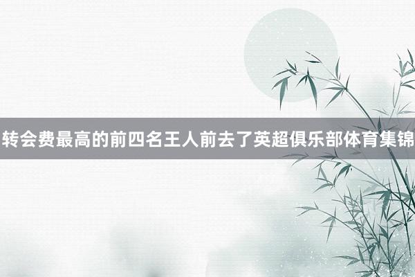 转会费最高的前四名王人前去了英超俱乐部体育集锦