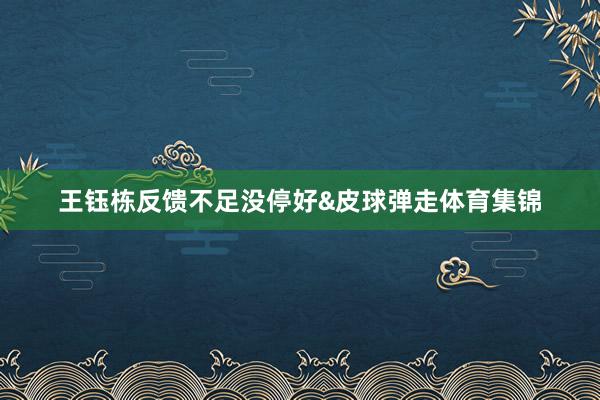 王钰栋反馈不足没停好&皮球弹走体育集锦