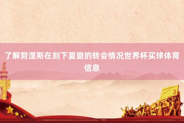 了解努涅斯在刻下夏窗的转会情况世界杯买球体育信息