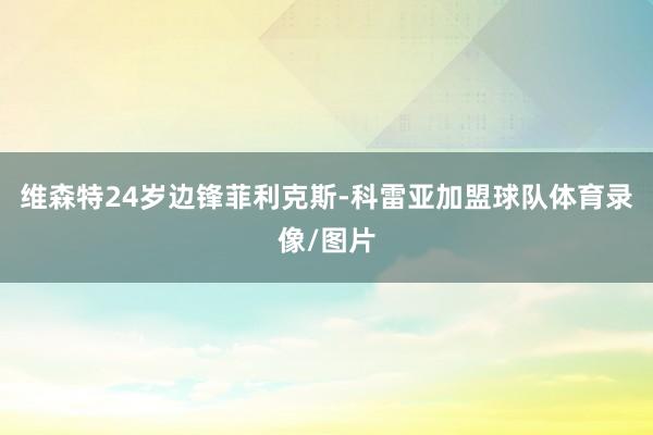 维森特24岁边锋菲利克斯-科雷亚加盟球队体育录像/图片