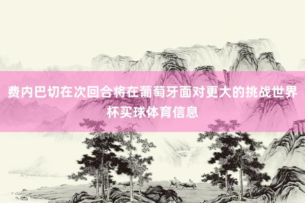 费内巴切在次回合将在葡萄牙面对更大的挑战世界杯买球体育信息
