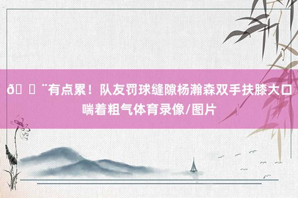 💨有点累！队友罚球缝隙杨瀚森双手扶膝大口喘着粗气体育录像/图片