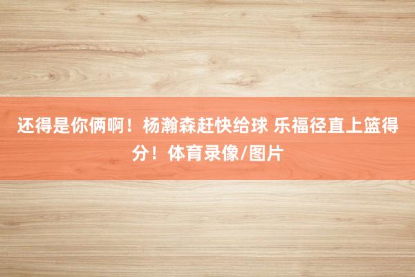 还得是你俩啊！杨瀚森赶快给球 乐福径直上篮得分！体育录像/图片