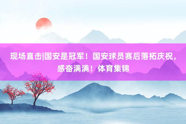 现场直击|国安是冠军！国安球员赛后落拓庆祝，感奋满满！体育集锦