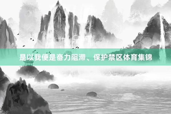 是以我便是奋力阻滞、保护禁区体育集锦