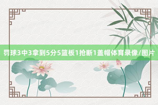 罚球3中3拿到5分5篮板1抢断1盖帽体育录像/图片