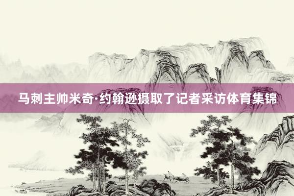 马刺主帅米奇·约翰逊摄取了记者采访体育集锦