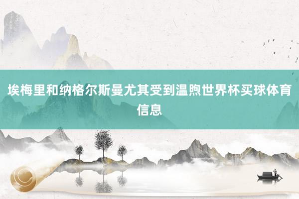埃梅里和纳格尔斯曼尤其受到温煦世界杯买球体育信息