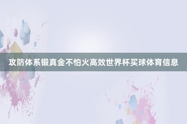 攻防体系锻真金不怕火高效世界杯买球体育信息