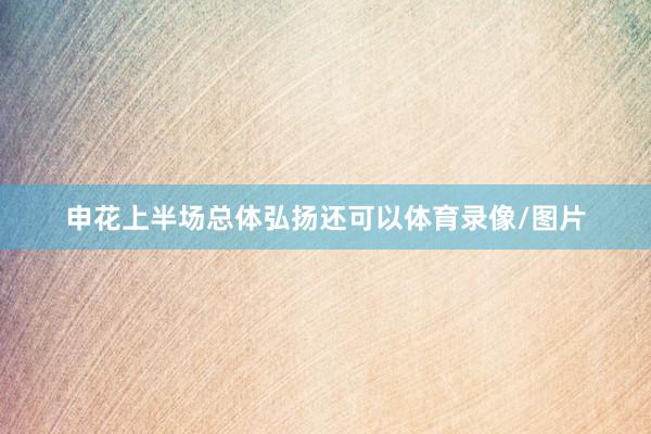 申花上半场总体弘扬还可以体育录像/图片