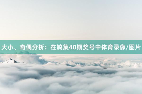 大小、奇偶分析：在鸠集40期奖号中体育录像/图片