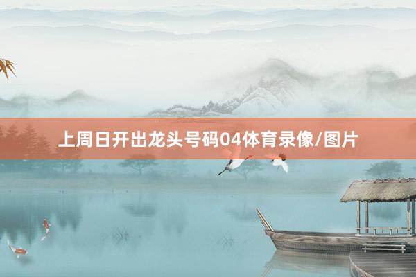 上周日开出龙头号码04体育录像/图片